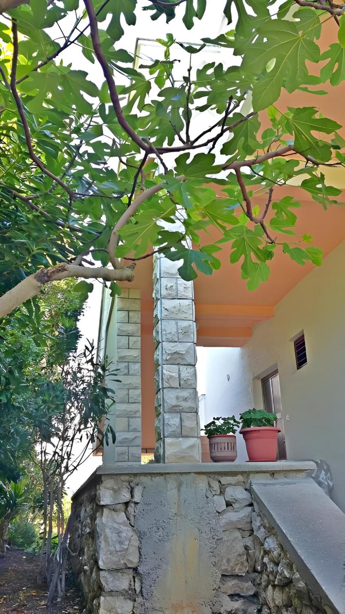 Cozy Apartments Danica Novalja - Ground Floor Екстериор снимка